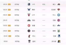 5胜4！优质情报拆解NBA热火迎战马刺-篮球分析-捷报比分网