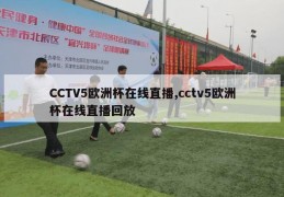 CCTV5欧洲杯在线直播,cctv5欧洲杯在线直播回放