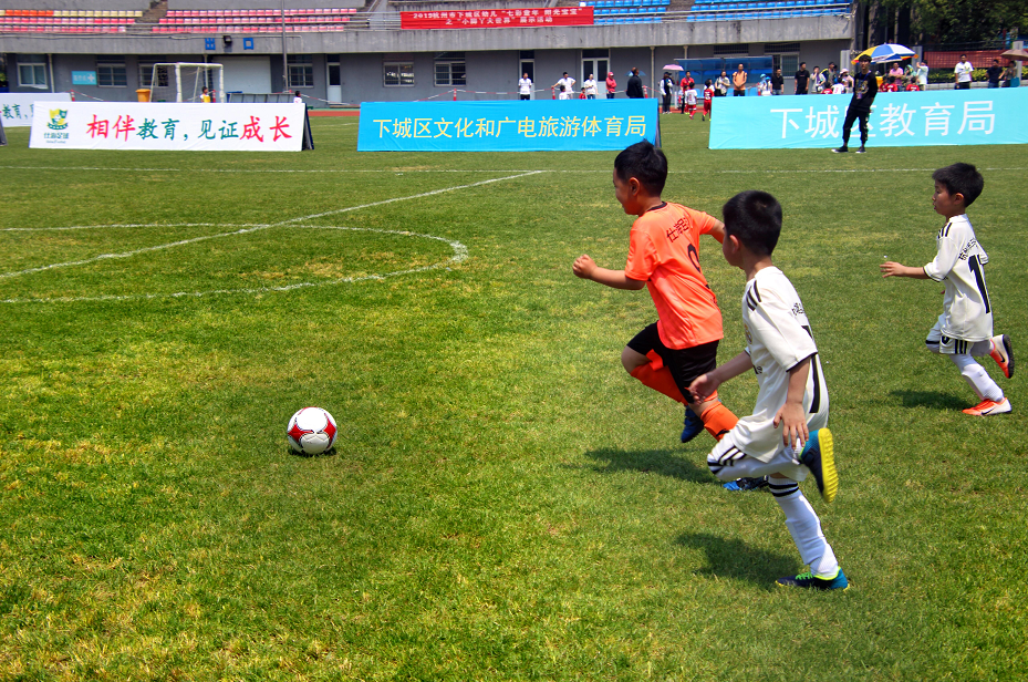 一场1-0让荷兰提前出线！第11次进欧洲杯，法国14-0狂胜锁定头名｜荷兰｜爱尔兰｜德斯_新浪新闻